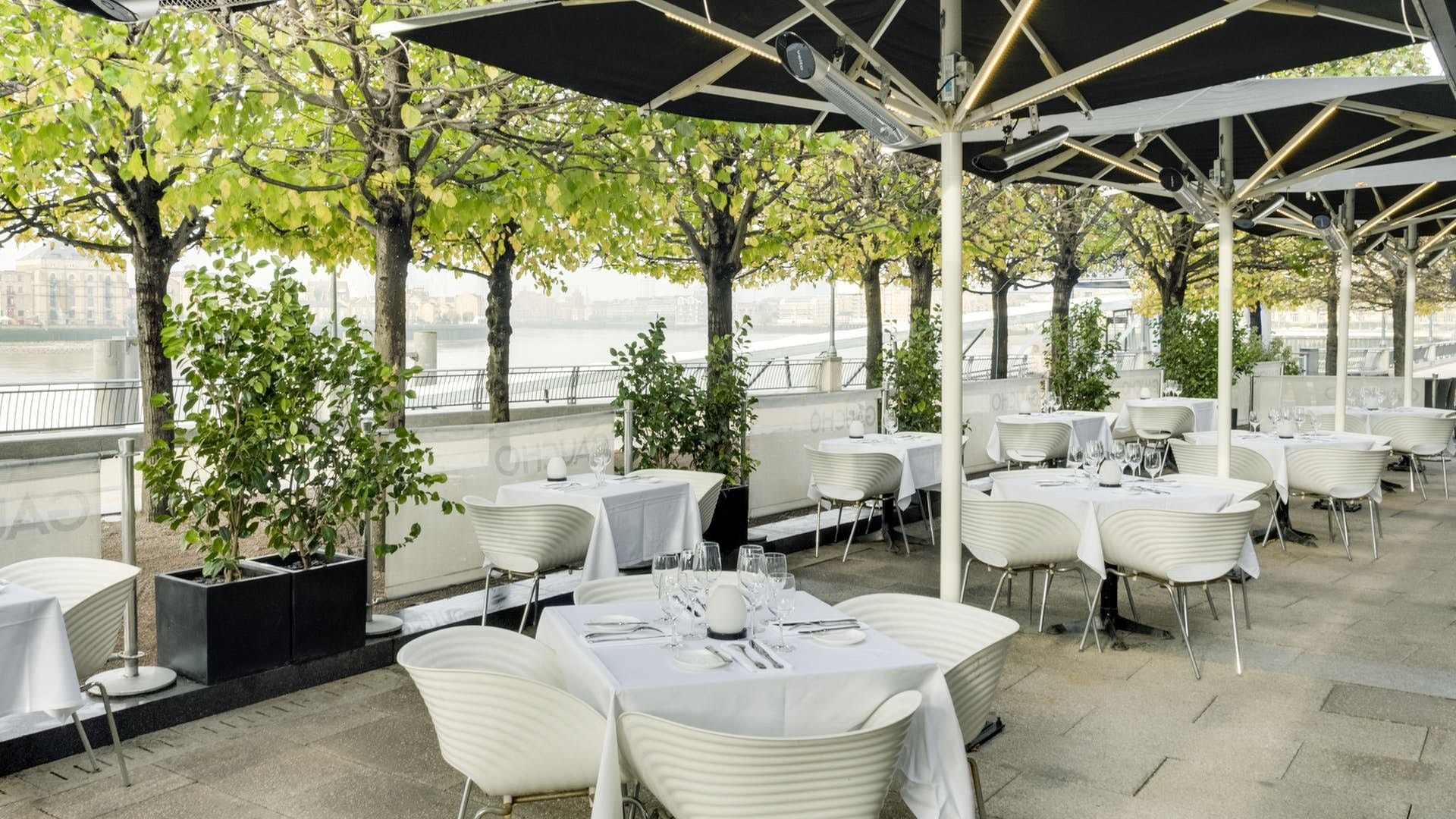 Photo of Gaucho Canary, Riverside Terrace