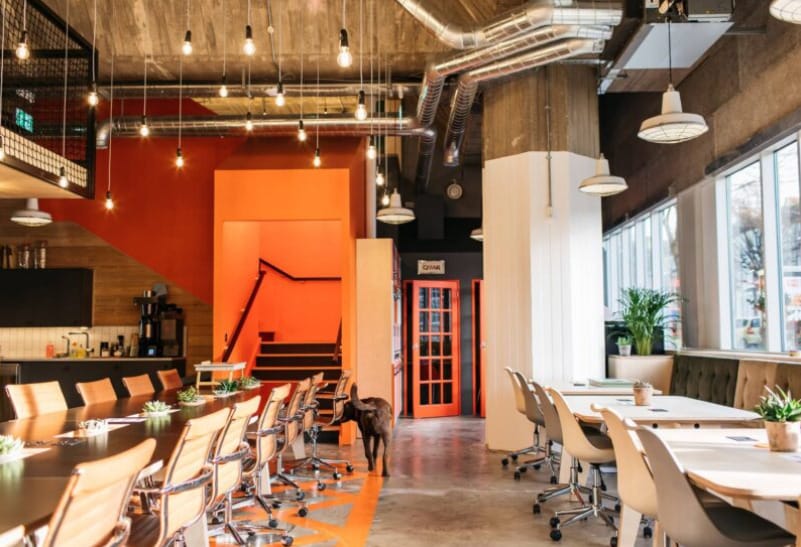 Photo of PLATF9RM, The Grounds