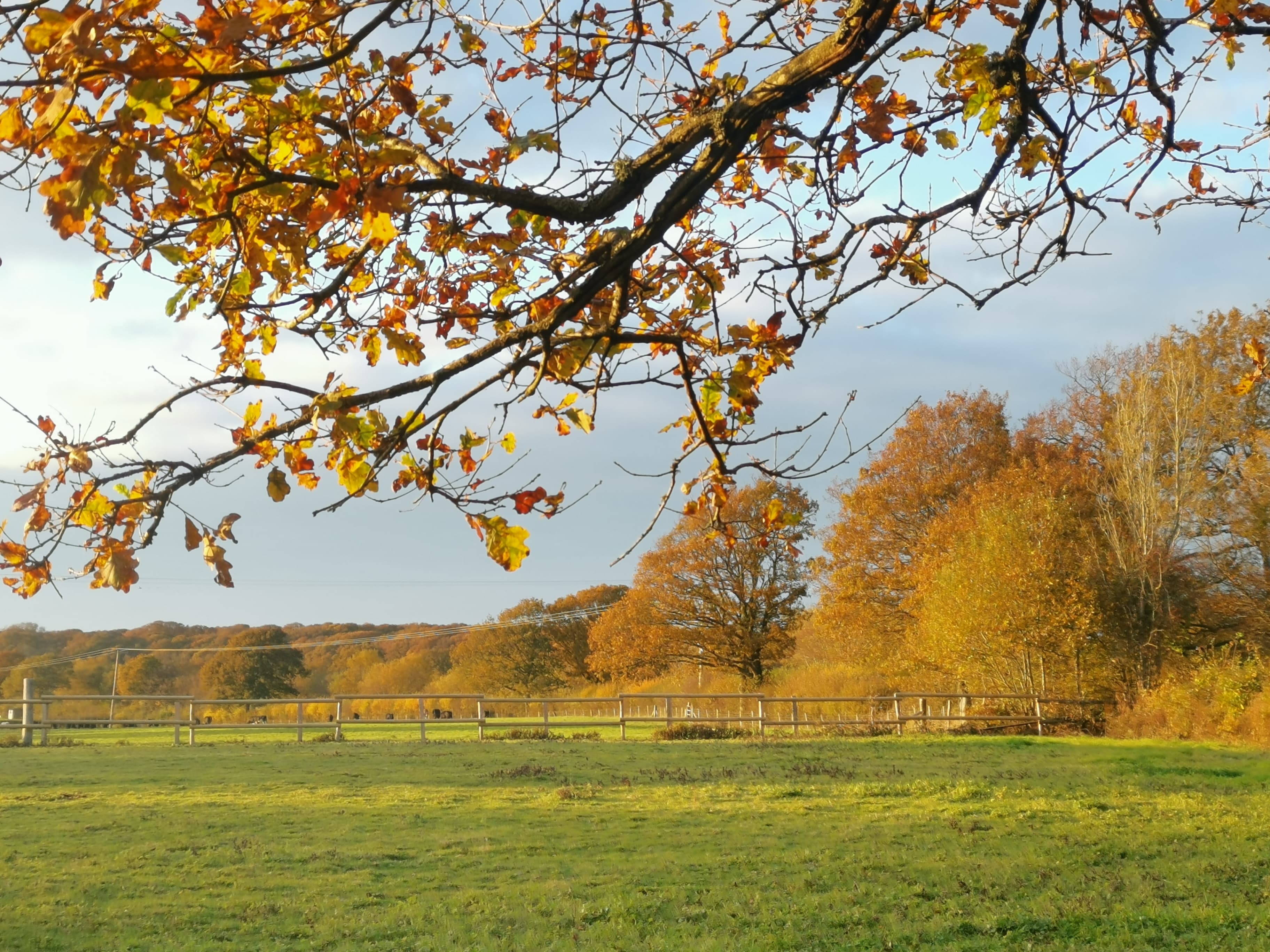 The Rosehip Room, Spithurst Hub photo #8