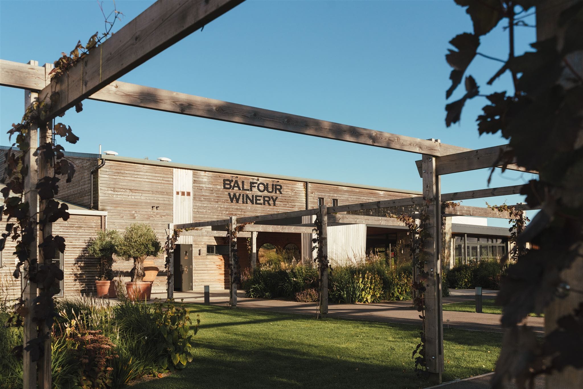 Photo of Balfour Winery, Balfour Brut Rosé Room