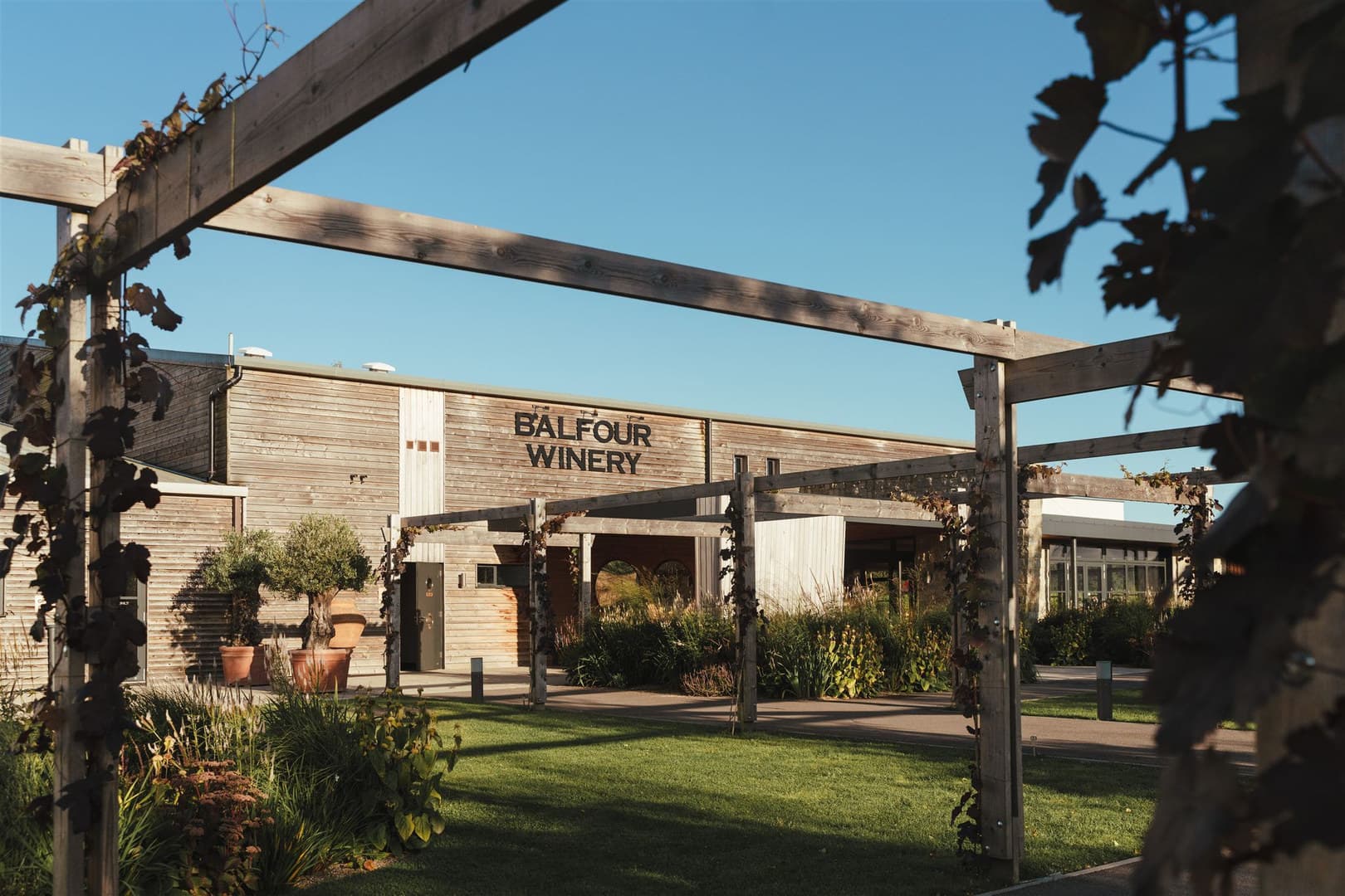 Balfour Brut Rosé Room, Balfour Winery photo #6