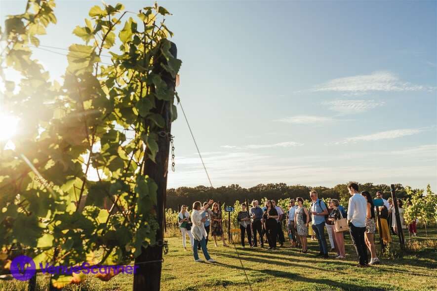 Balfour Winery photo #3