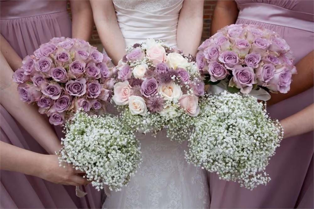 Exclusive Hire, The Cambridge Belfry photo #2