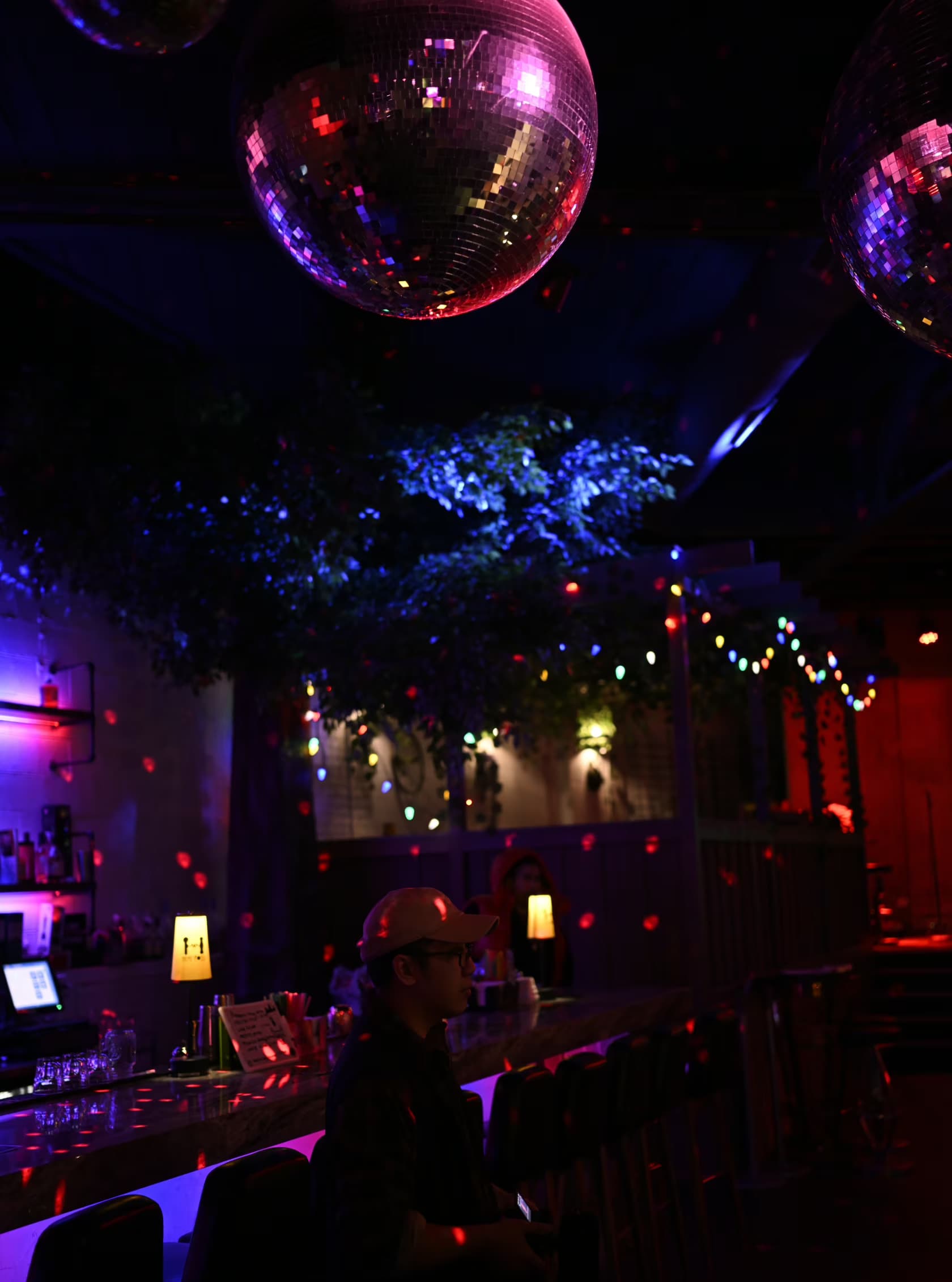 Theme House Restaurant & Karaoke Bar, Whole Venue, undefined photo #14