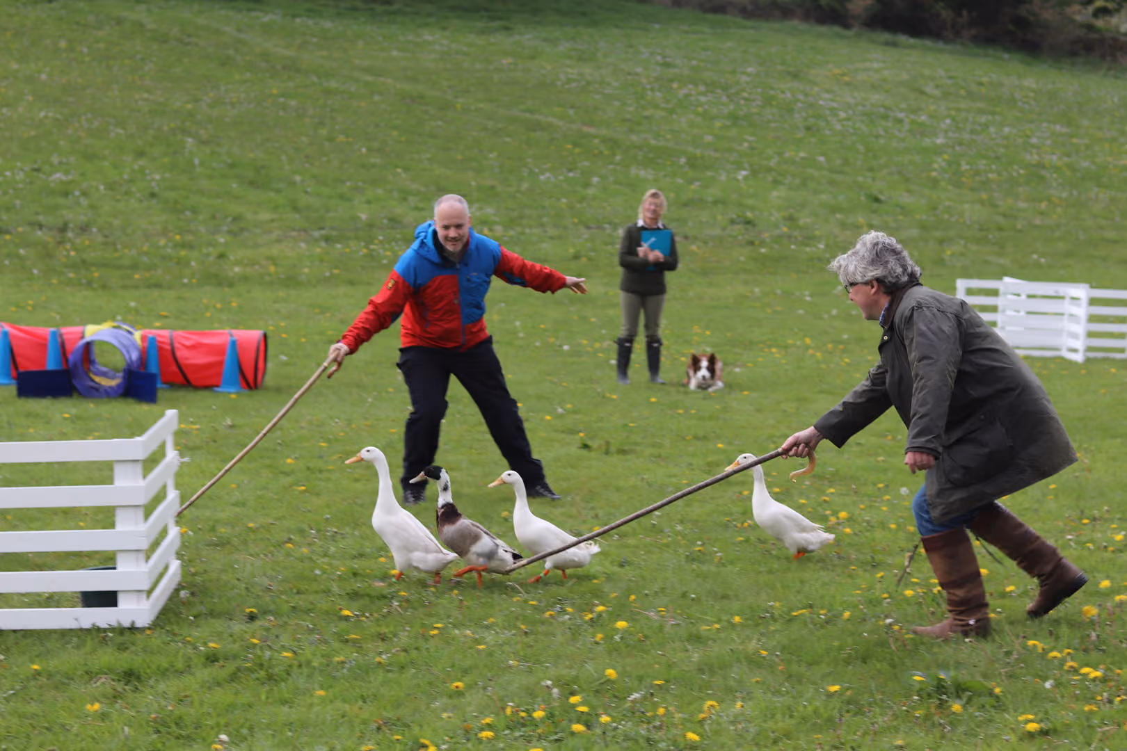 Exclusive Hire, Howgills House, Sedbergh photo #49