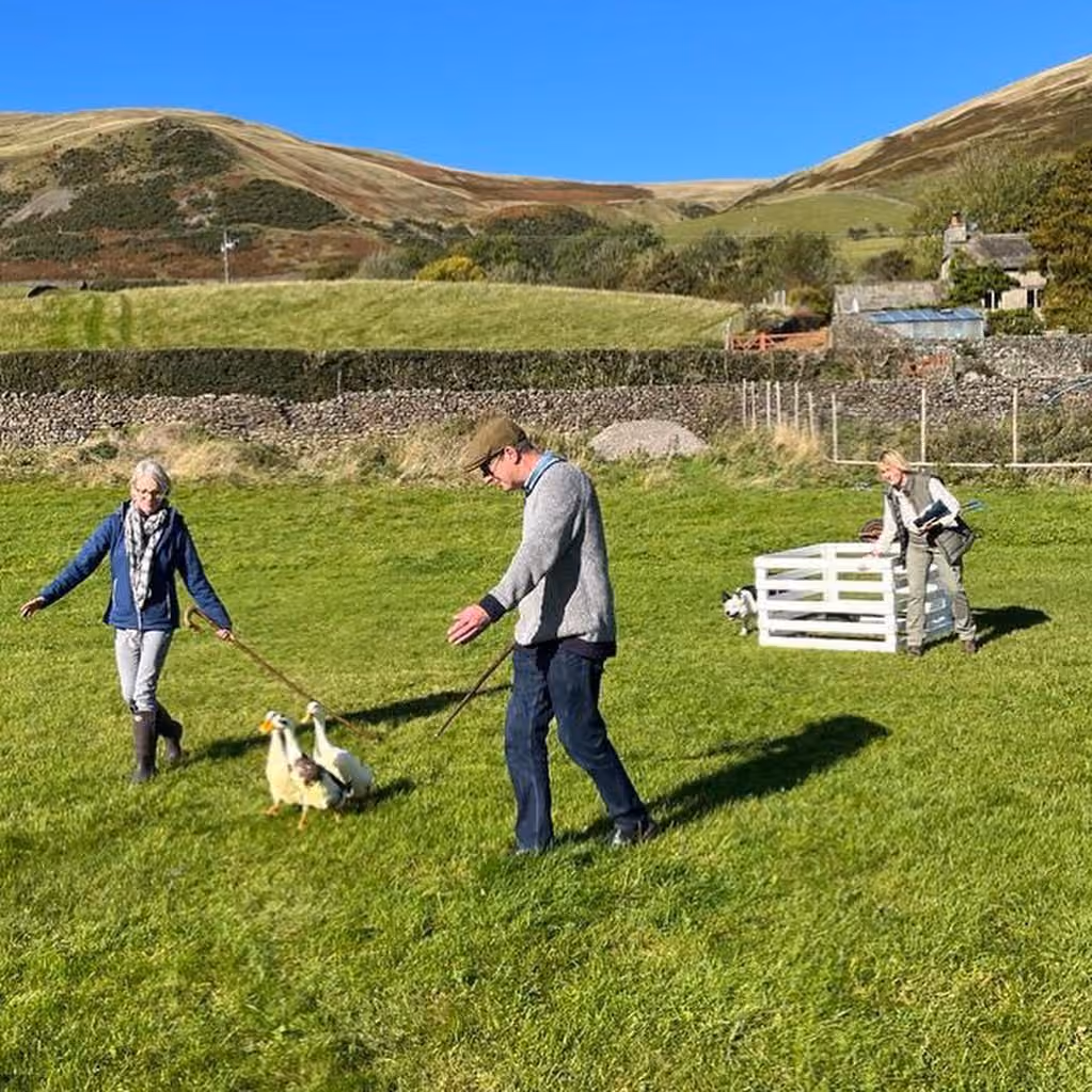 Exclusive Hire, Howgills House, Sedbergh photo #9