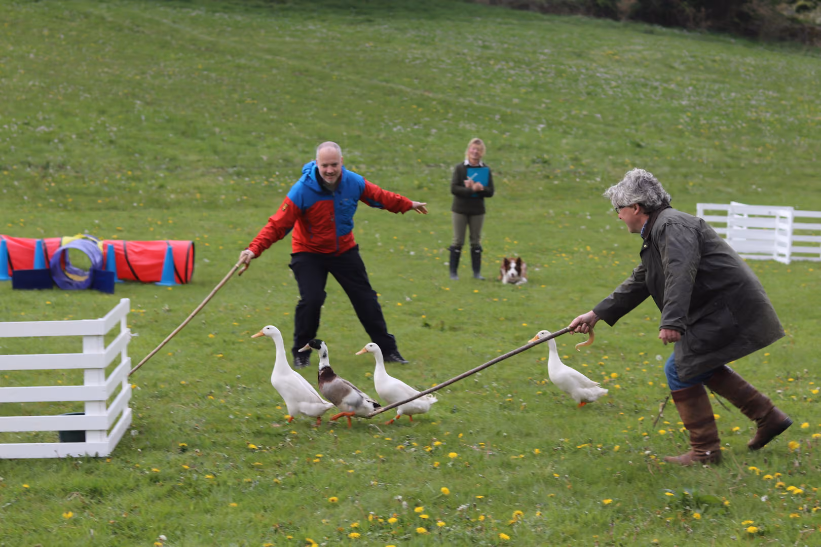 Exclusive Hire, Howgills House, Sedbergh photo #10