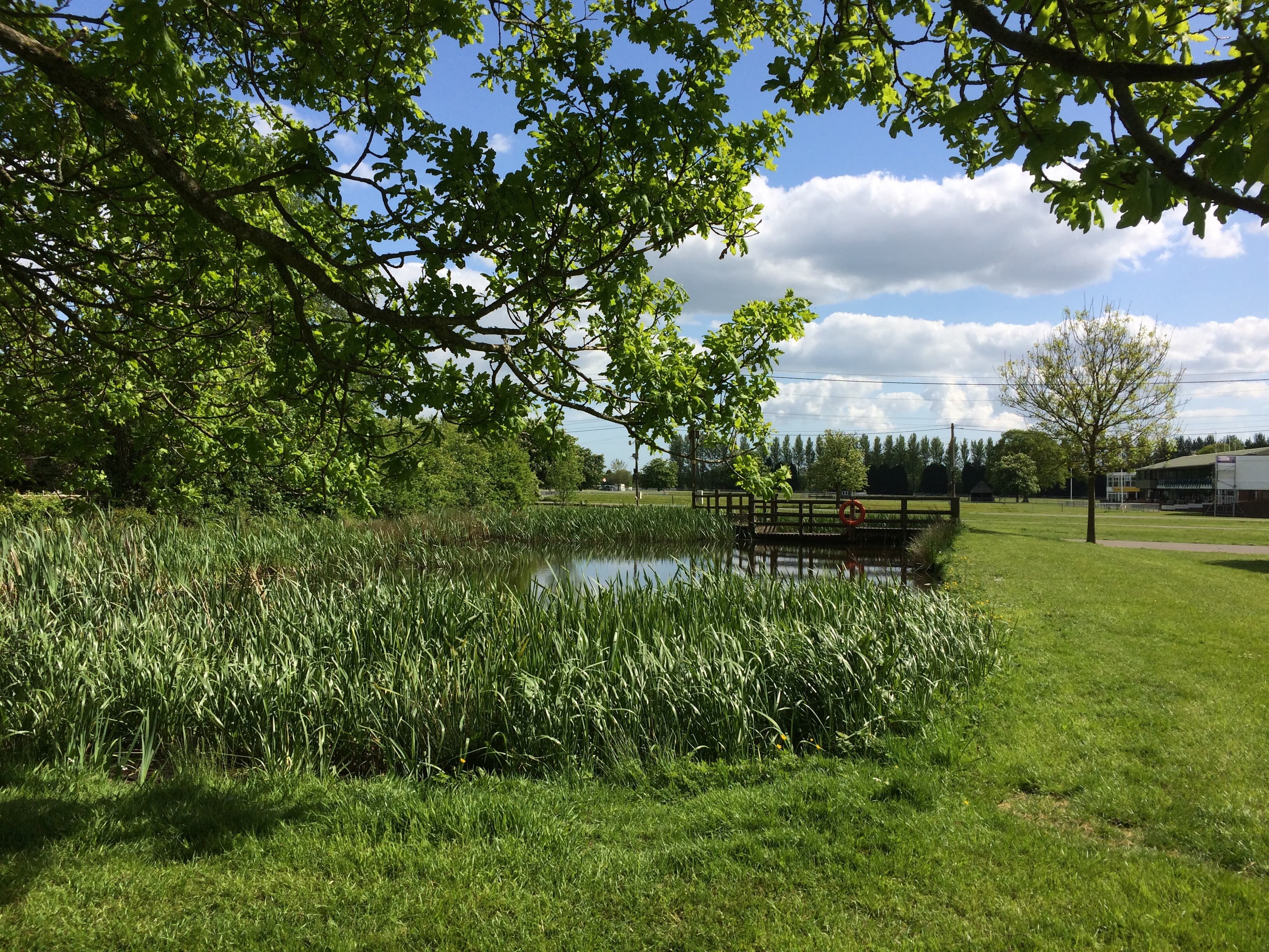 South Of England Event Centre, Outdoor Space, undefined photo #7