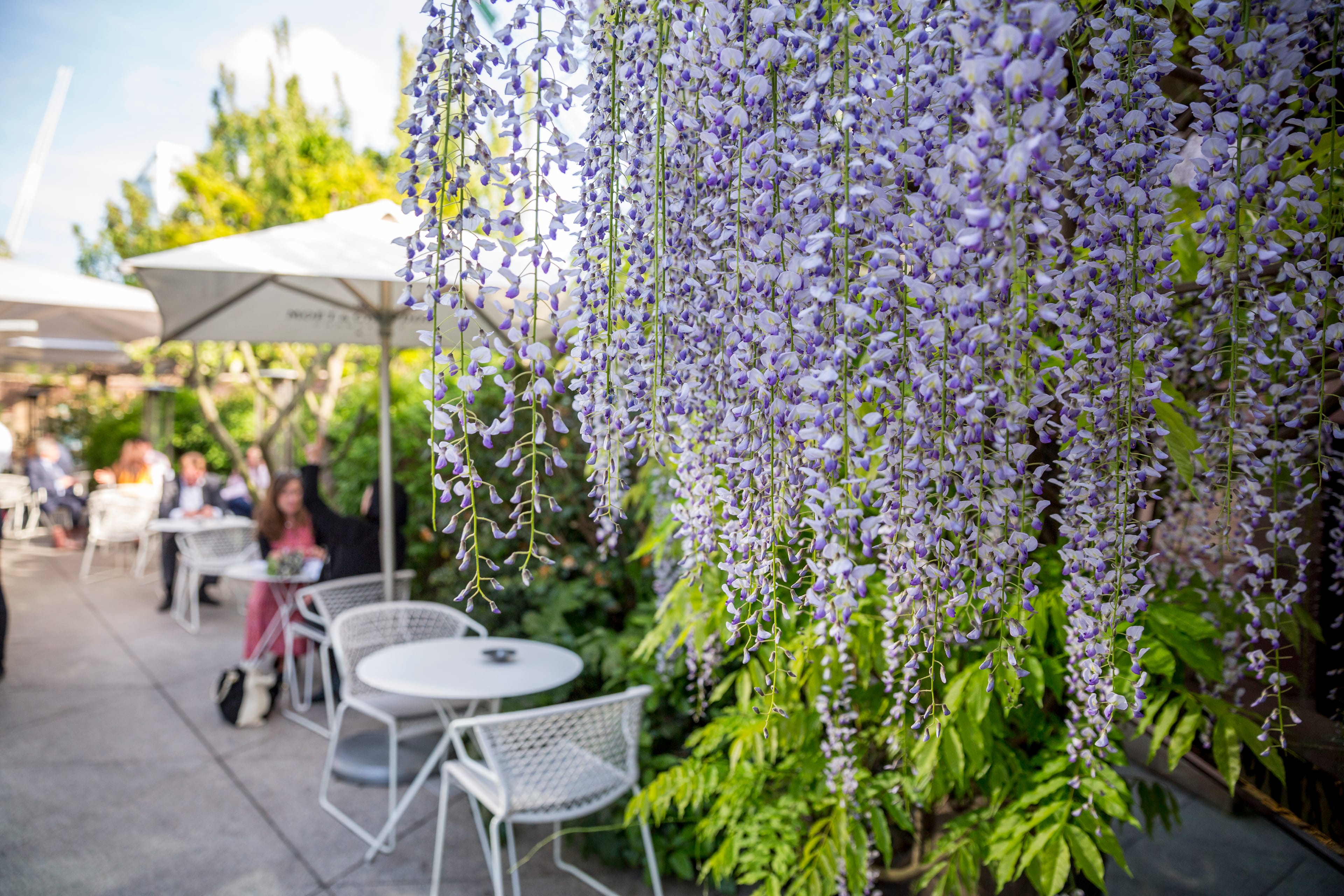 Photo of Coq d'Argent Restaurant, Terrasse Nord