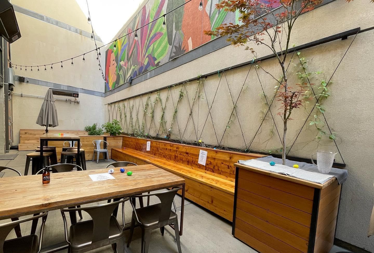 Habana Cuba Restaurant, Patio, undefined photo #1