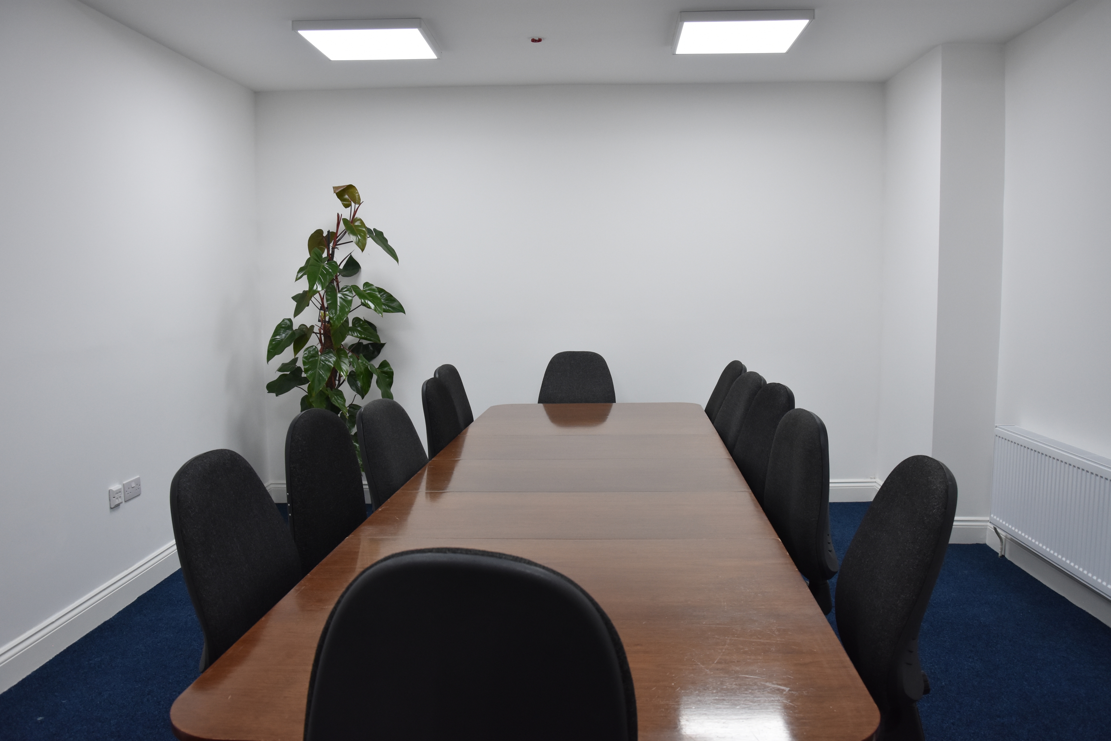 Photo of Quadrant House Wimbledon, Tulip