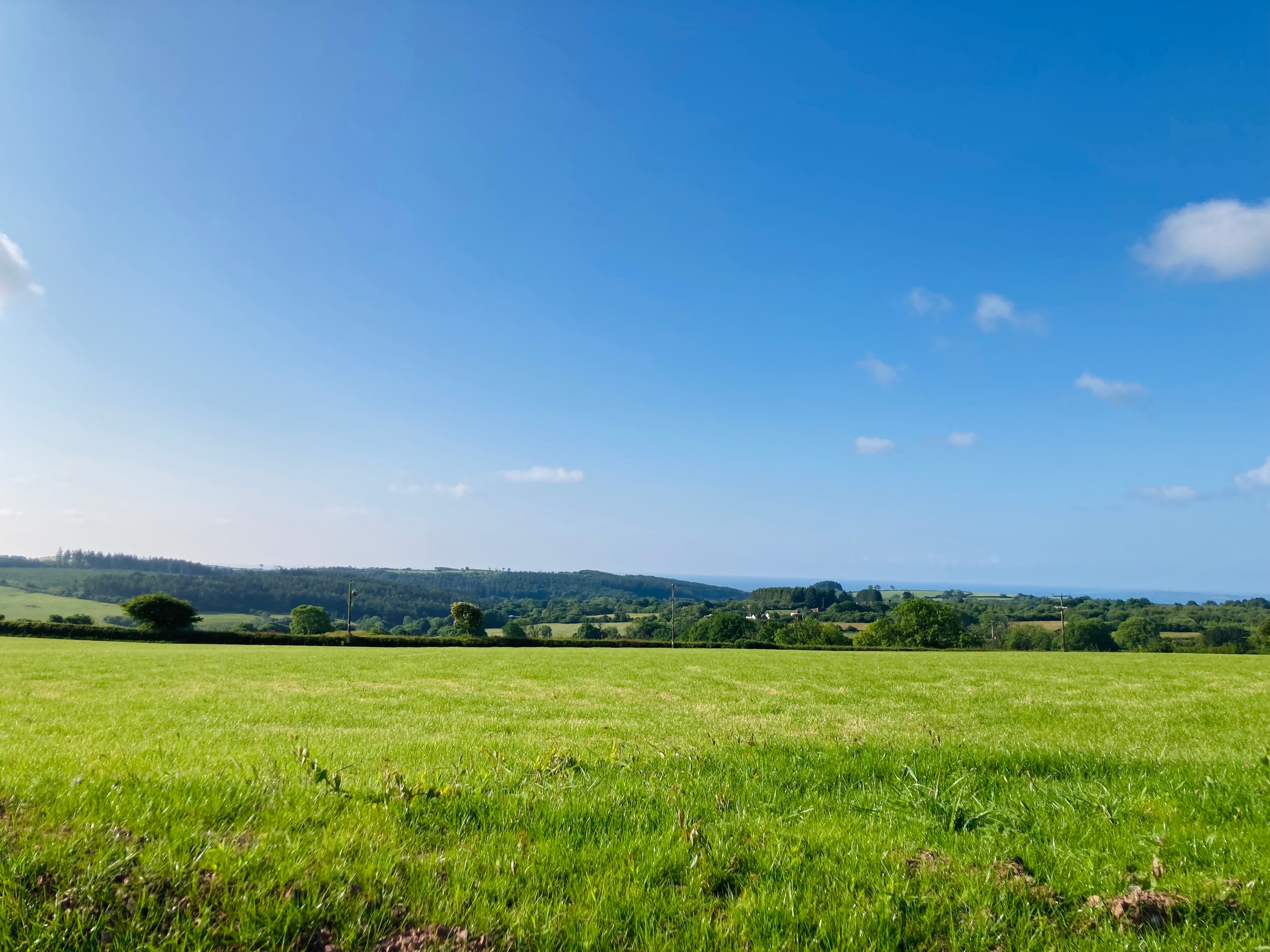 Photo of The Rounds, The Barn