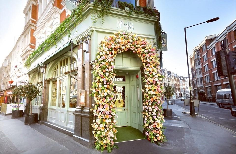 Photo of Mr Fogg's Botanical Tavern