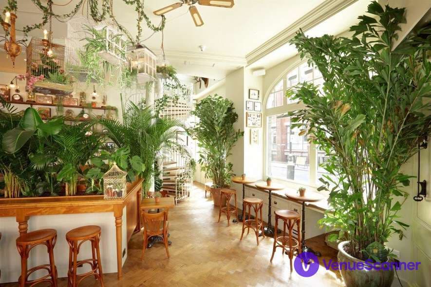 Mr Fogg's Botanical Tavern photo #3