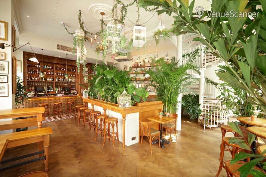 House Of Botanicals, Mr Fogg's Botanical Tavern photo #1