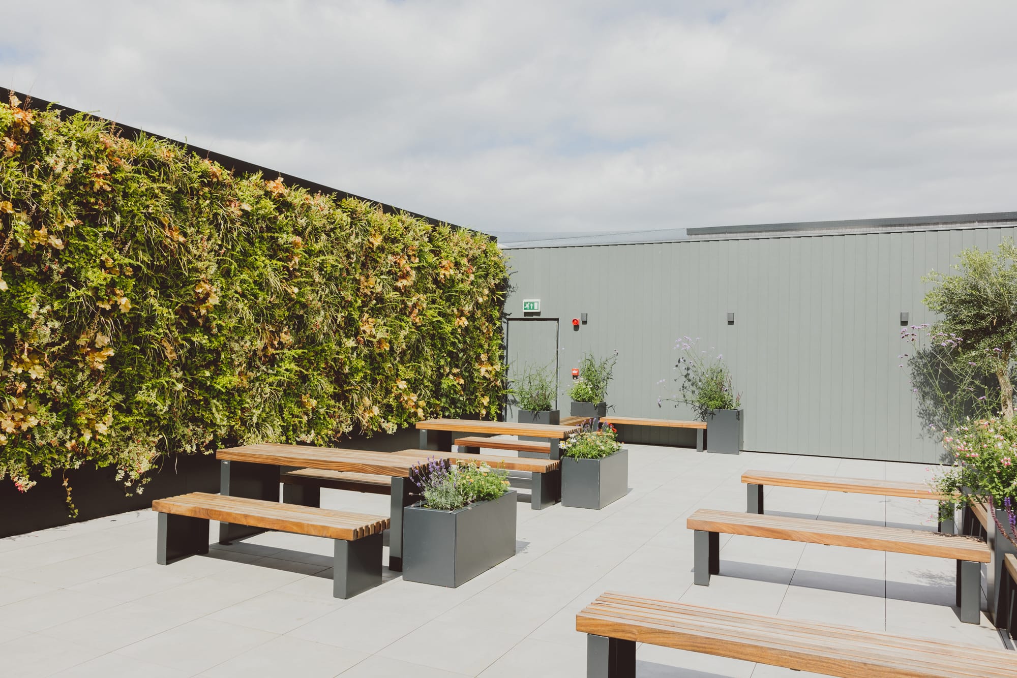 Photo of 10x, The Rooftop