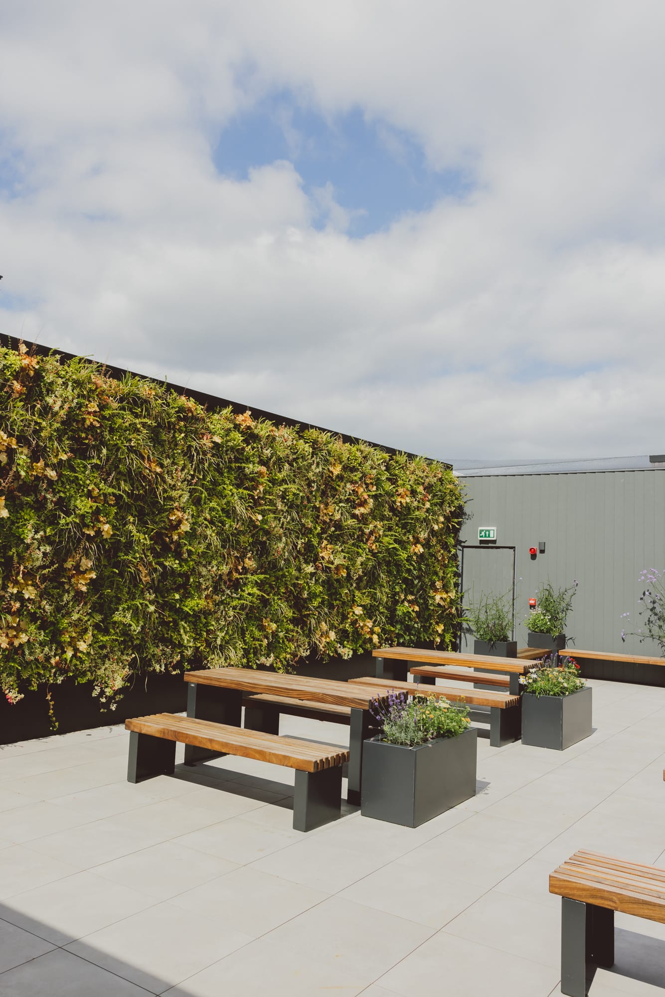 Photo of 10x, The Rooftop