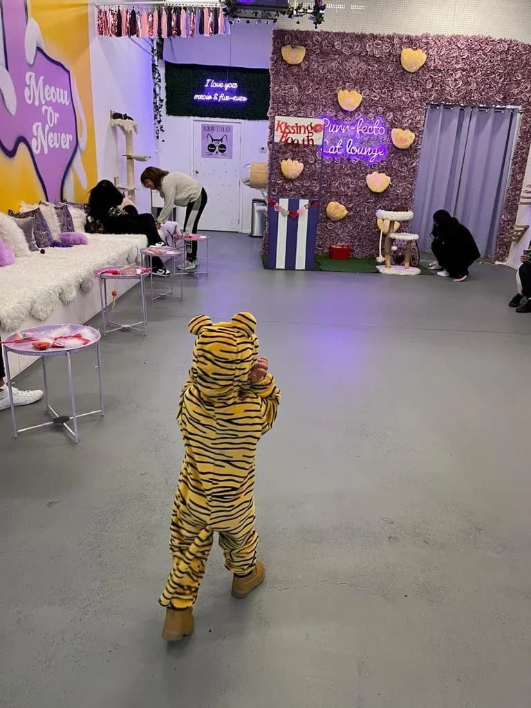 Photo of Purrfecto Cat Lounge