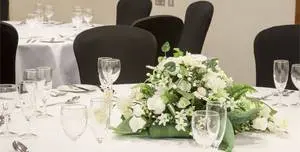 Holiday Inn Rochester-Chatham photo #2