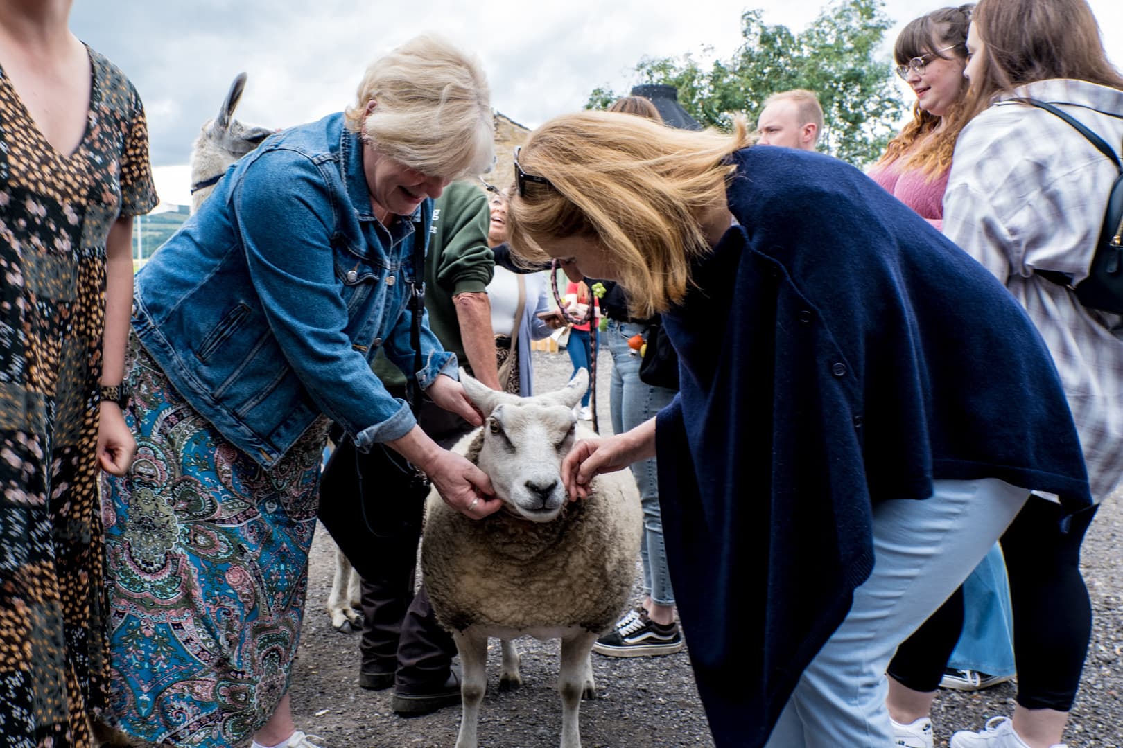 The Wheatsheaf Bar, The Wellbeing Farm photo #5