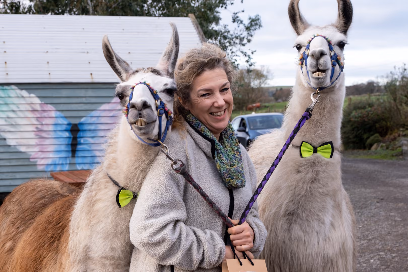 The Events Barn, The Wellbeing Farm photo #21