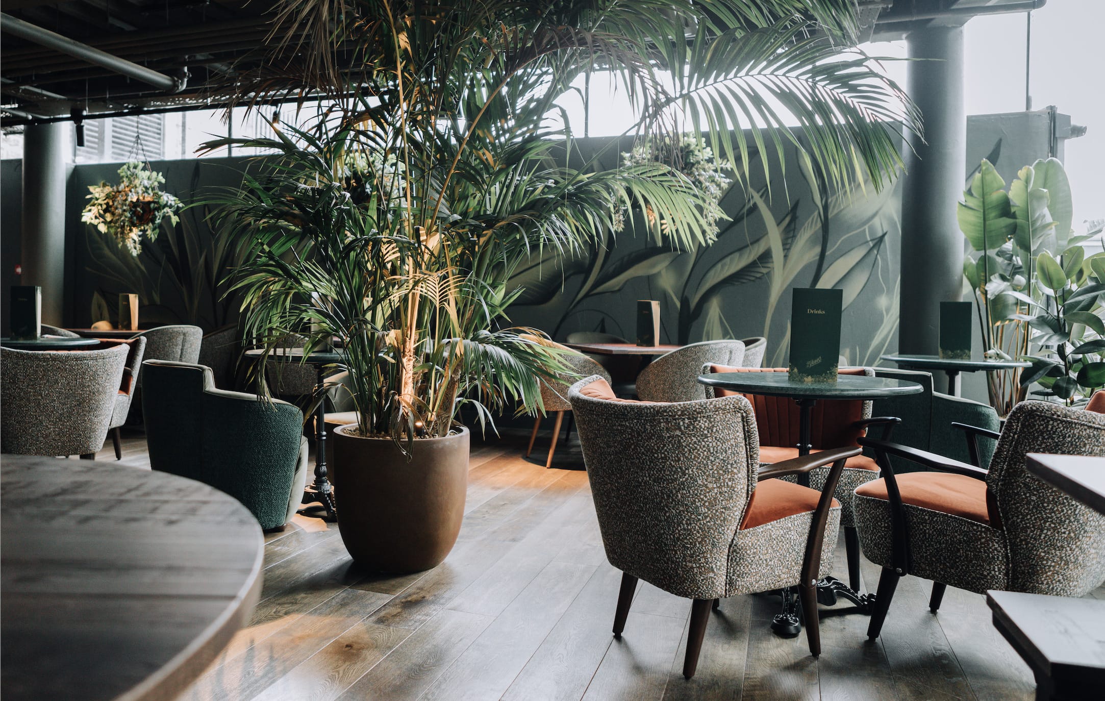 Photo of The Botanist - Edinburgh, The Greenhouse