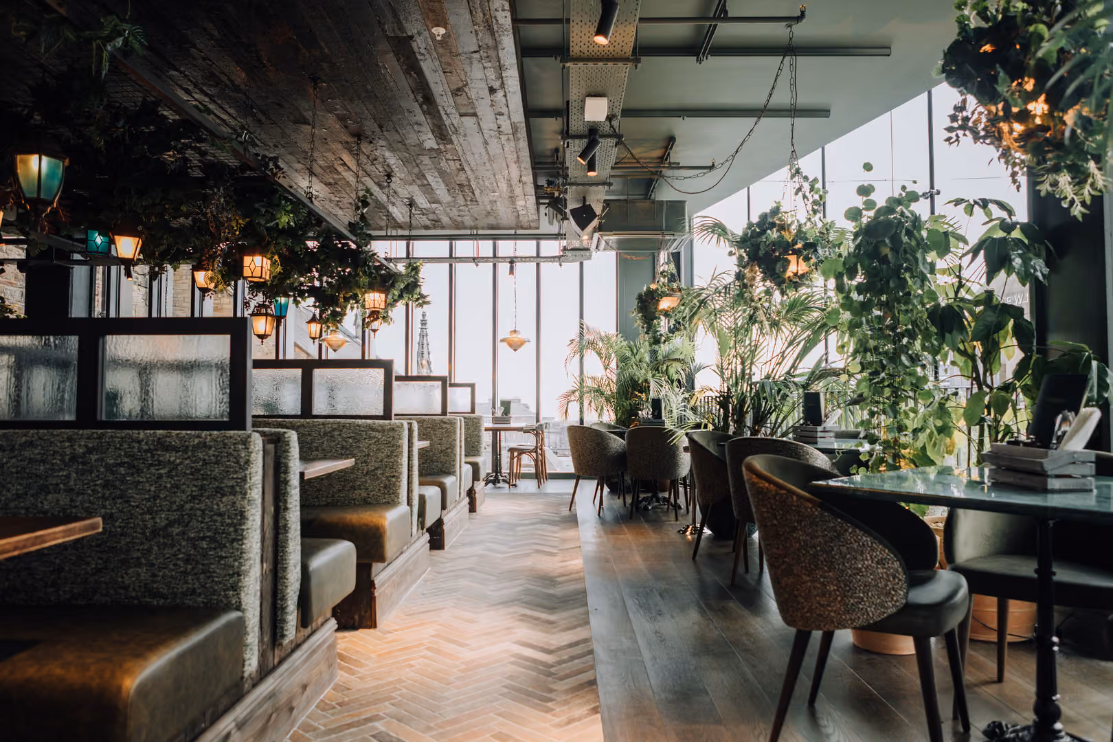 The Restaurant, The Botanist - Edinburgh photo #3