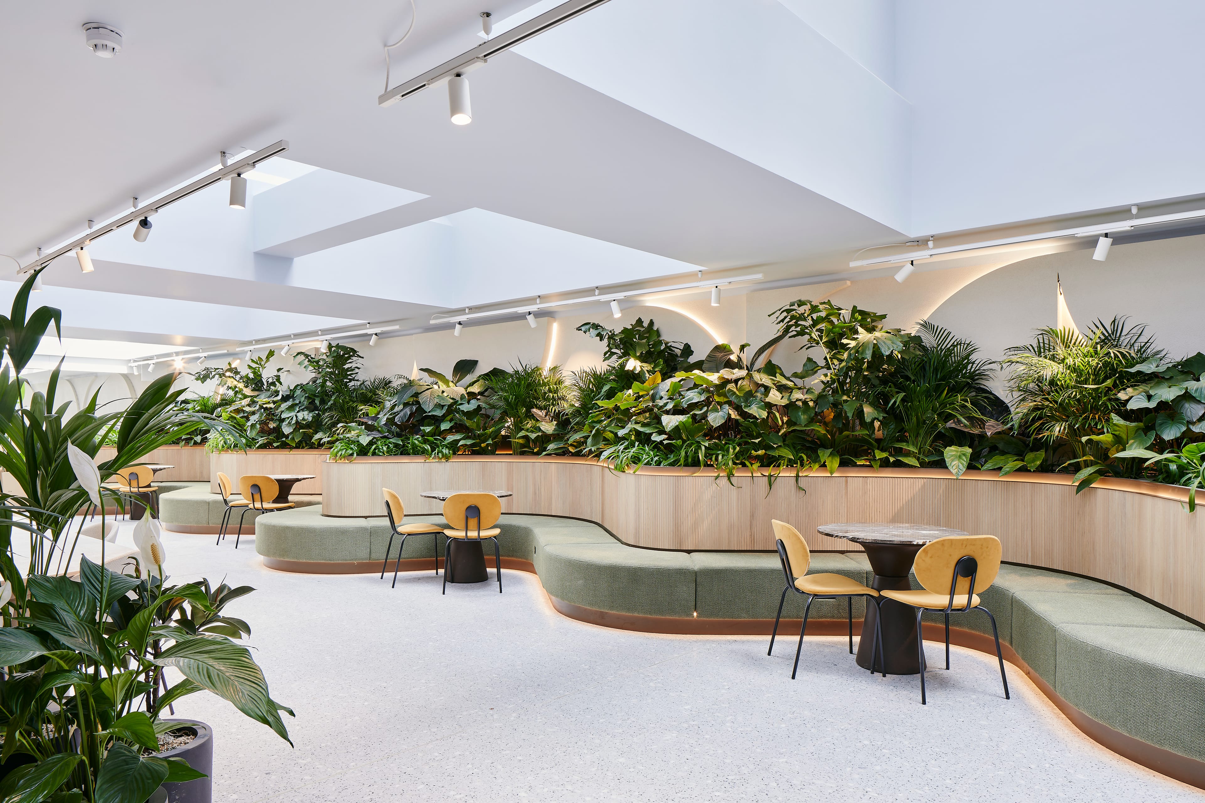 Photo of Uncommon Holborn