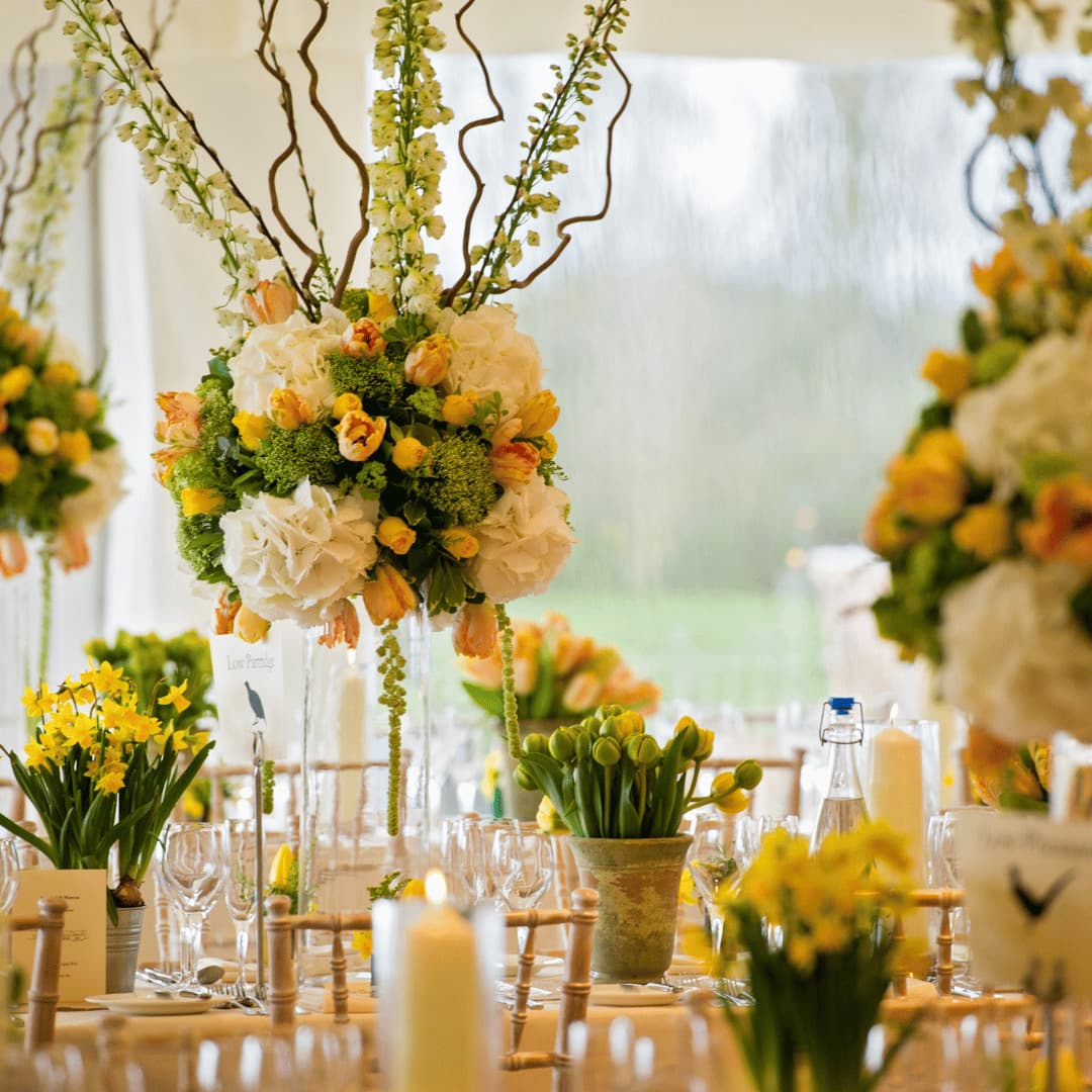 The Marquee, The Old Hall Ely photo #7