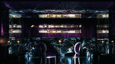 Purple Bar