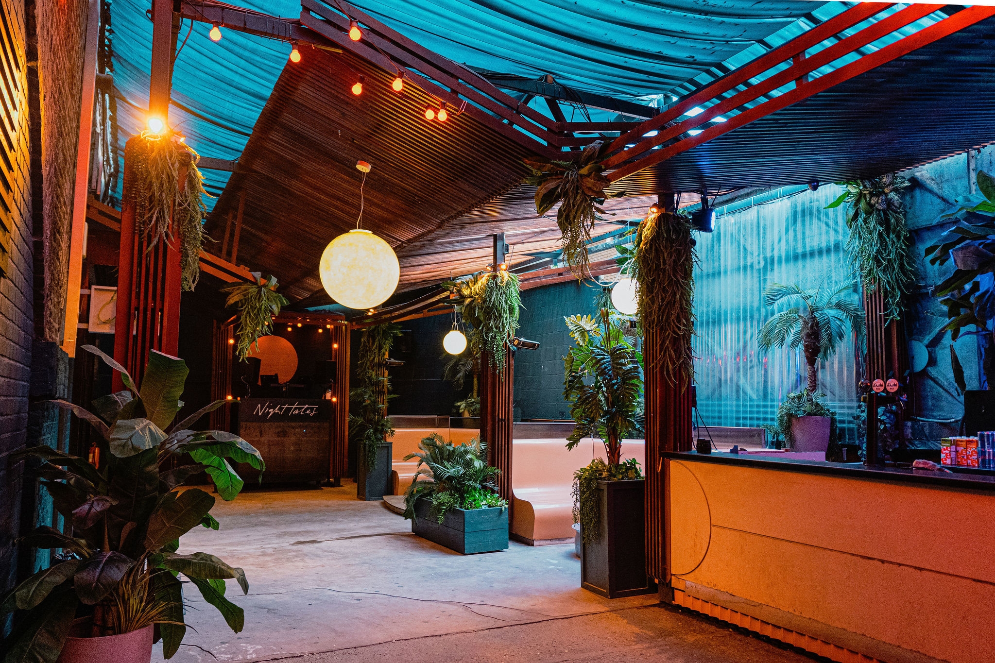 Photo of Night Tales, The Garden