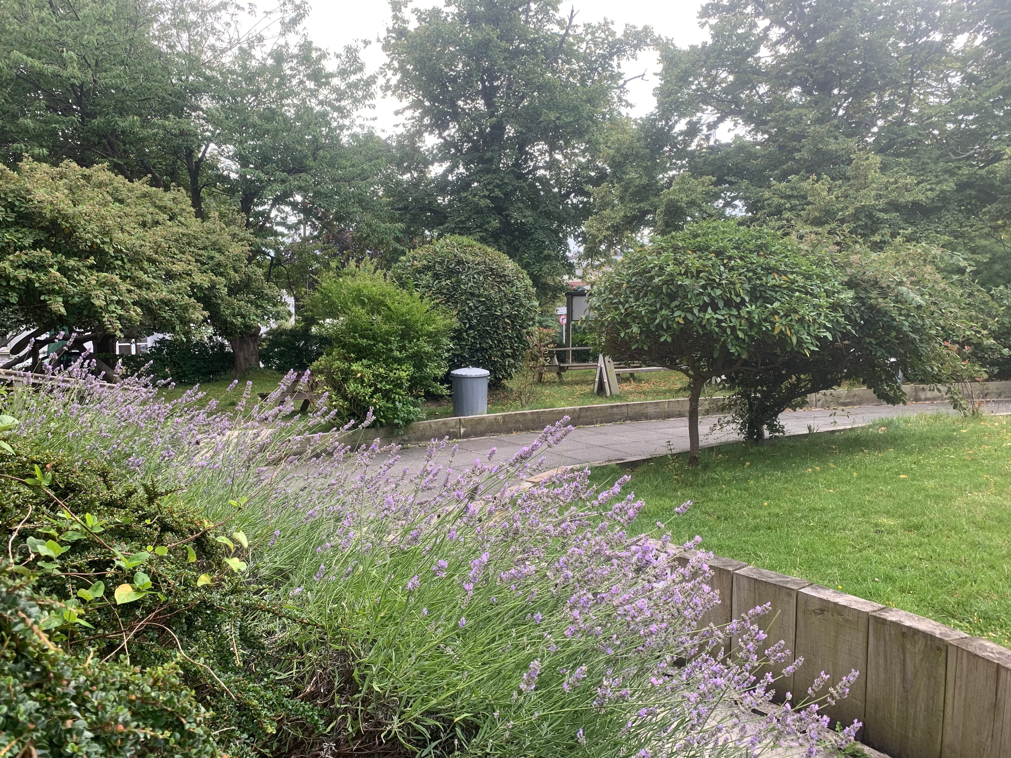 Photo of St Augustine's Arts And Events Centre, Front Garden