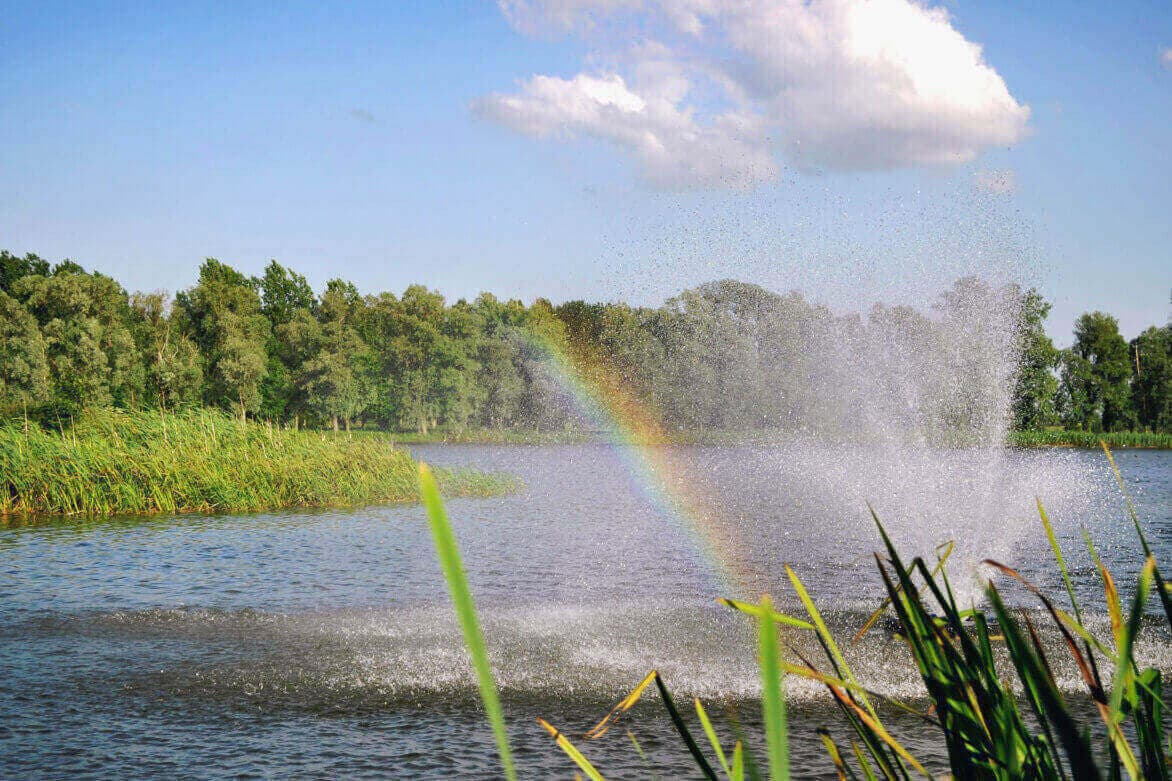 Wyboston Lakes, The Executive Centre, undefined photo #5