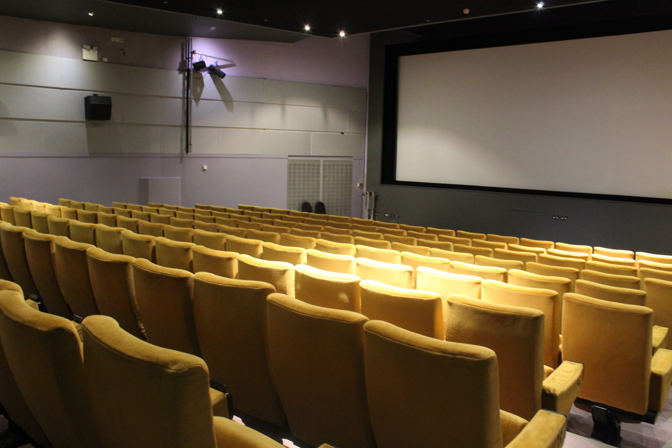 Photo of Showroom Workstation, Cinema 3