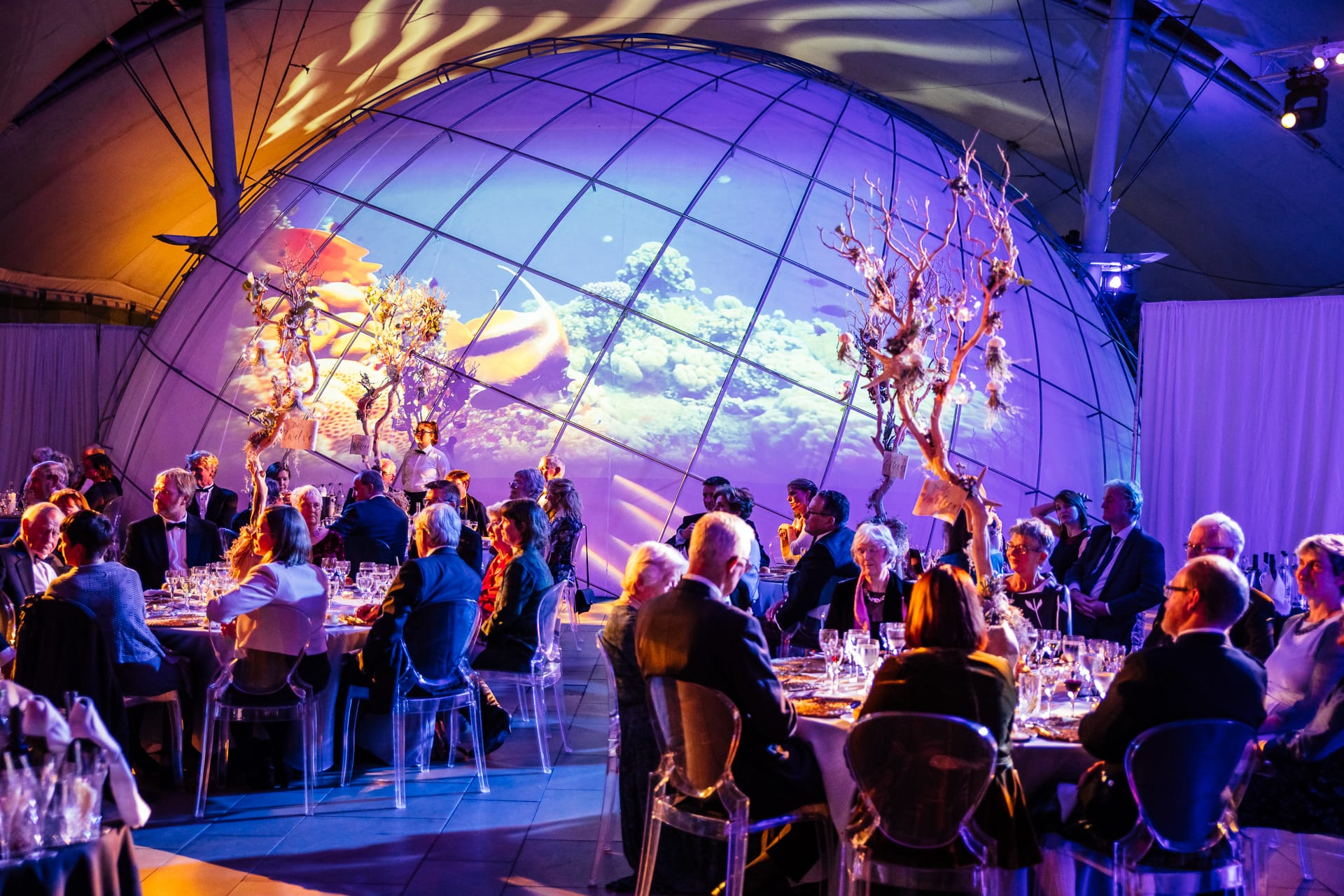 Photo of Dynamic Earth, Stratosphere