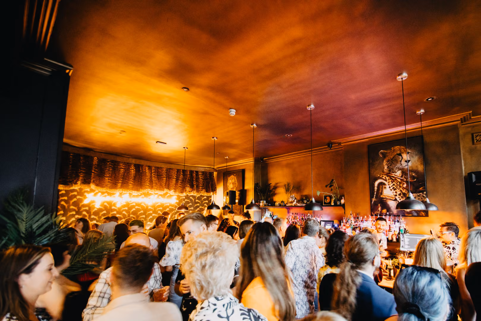 Full Venue Hire, The Cocktail Club Cardiff photo #2