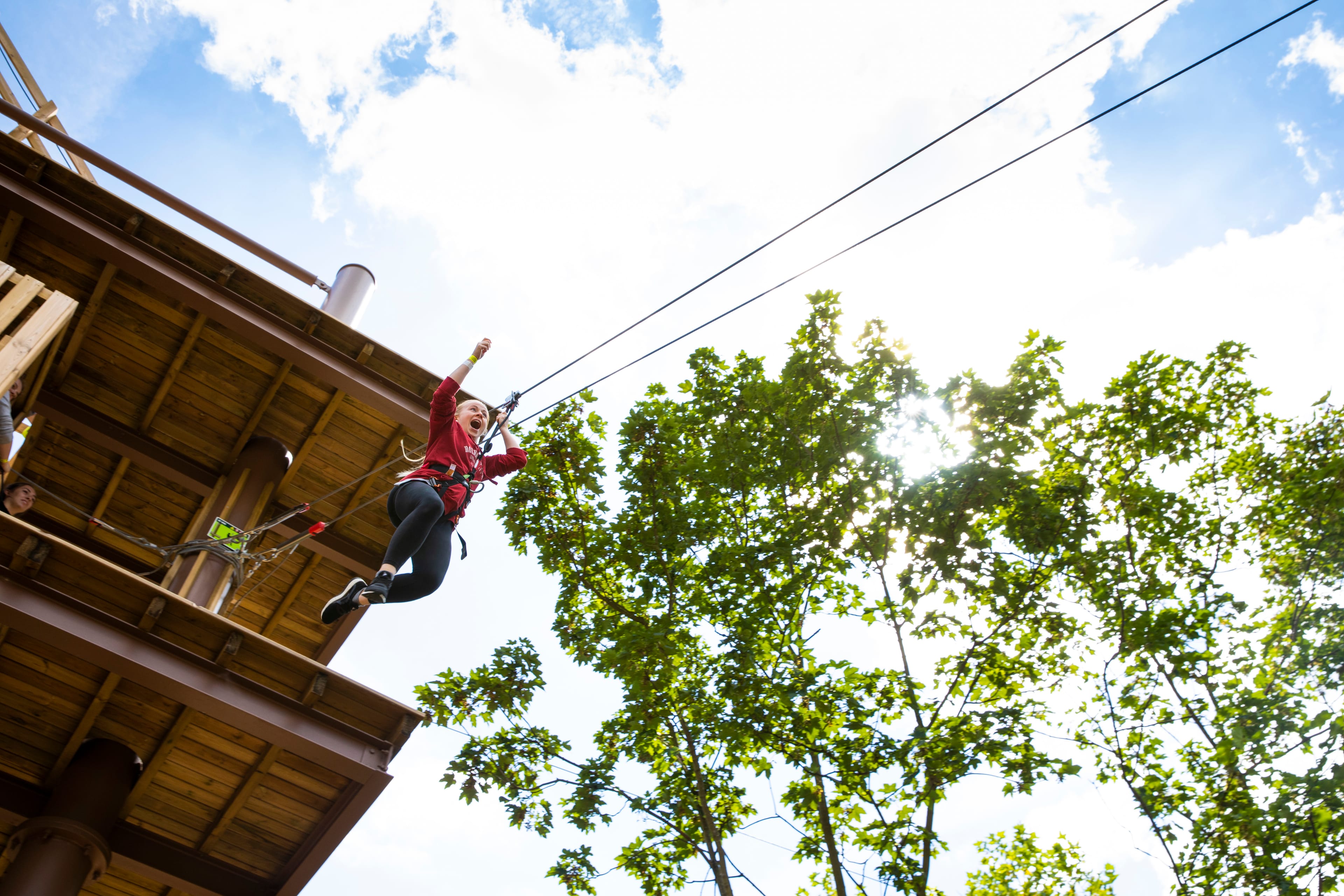 Photo of Go Ape Aberfoyle, Go Ape Aberfoyle