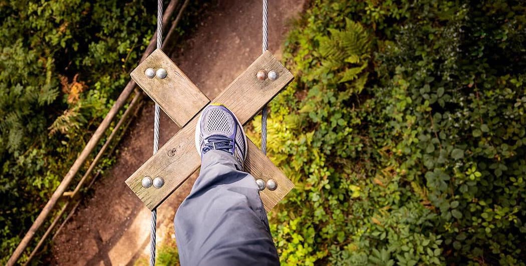 Treetop Challenge
