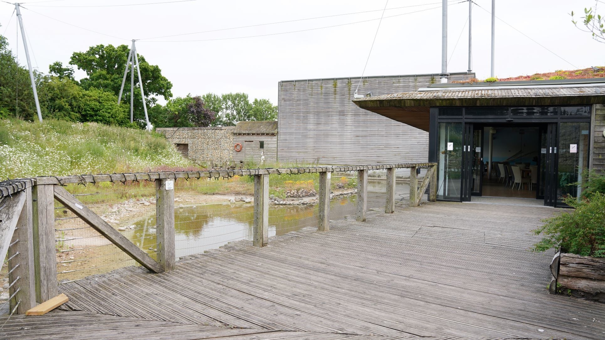 Photo of Twycross Zoo, Windows On The Wild