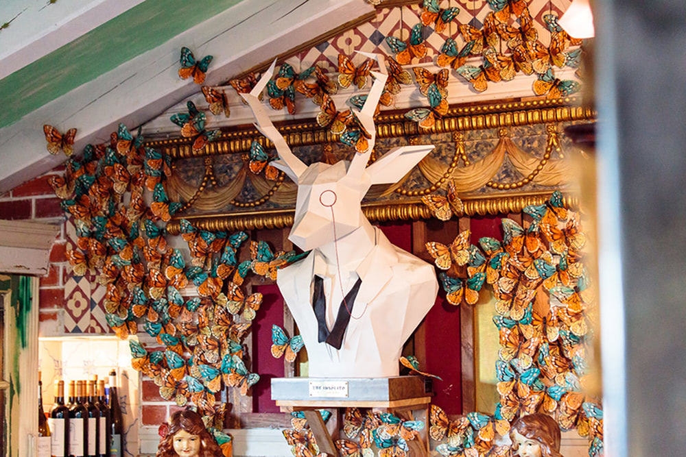 Photo of The Insólito, Exclusive Hire