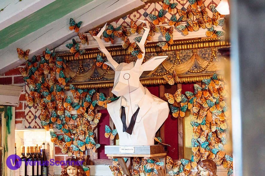 Exclusive Hire, The Insólito photo #8