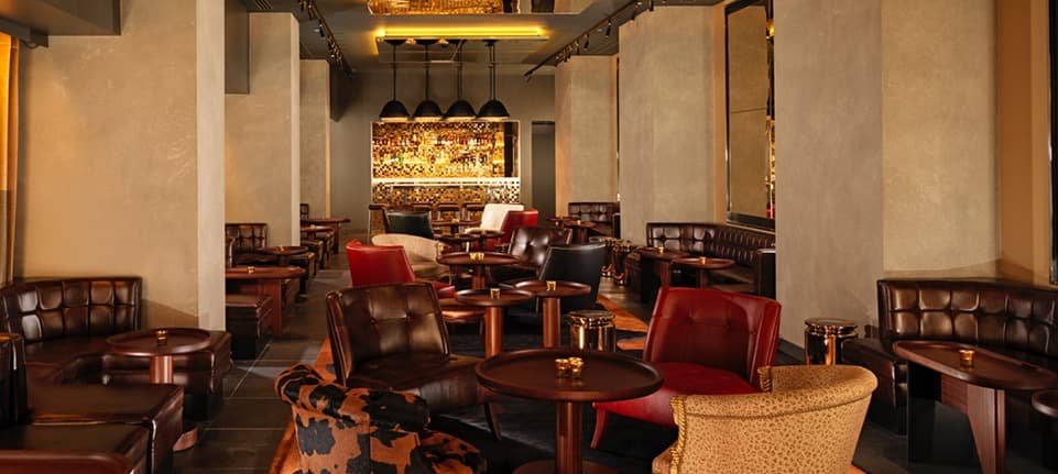 The Blind Spot photo #2