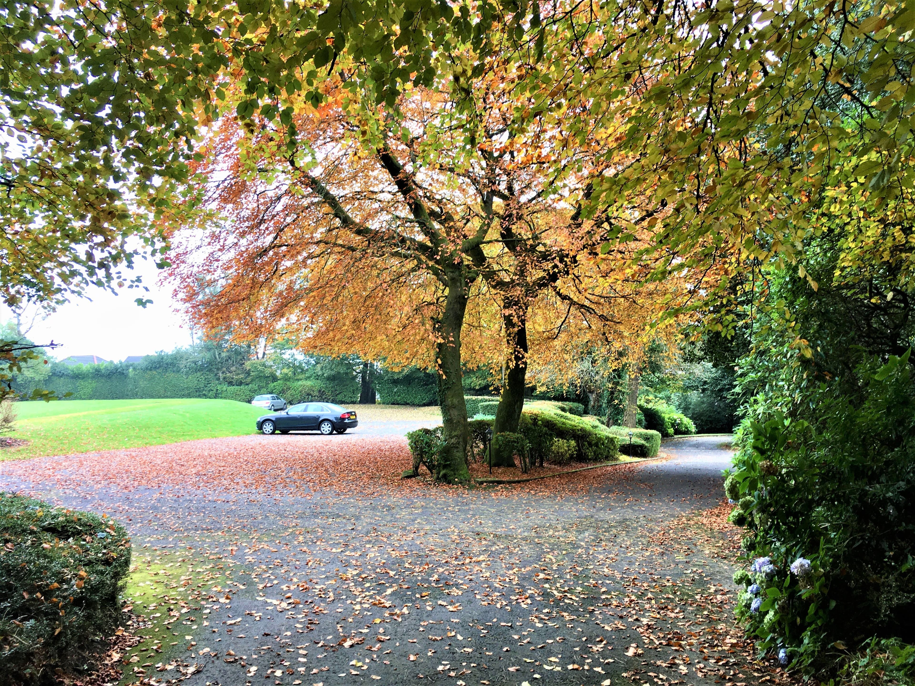 Othello's, Astley Bank Bank Hotel And Conference Centre photo #9