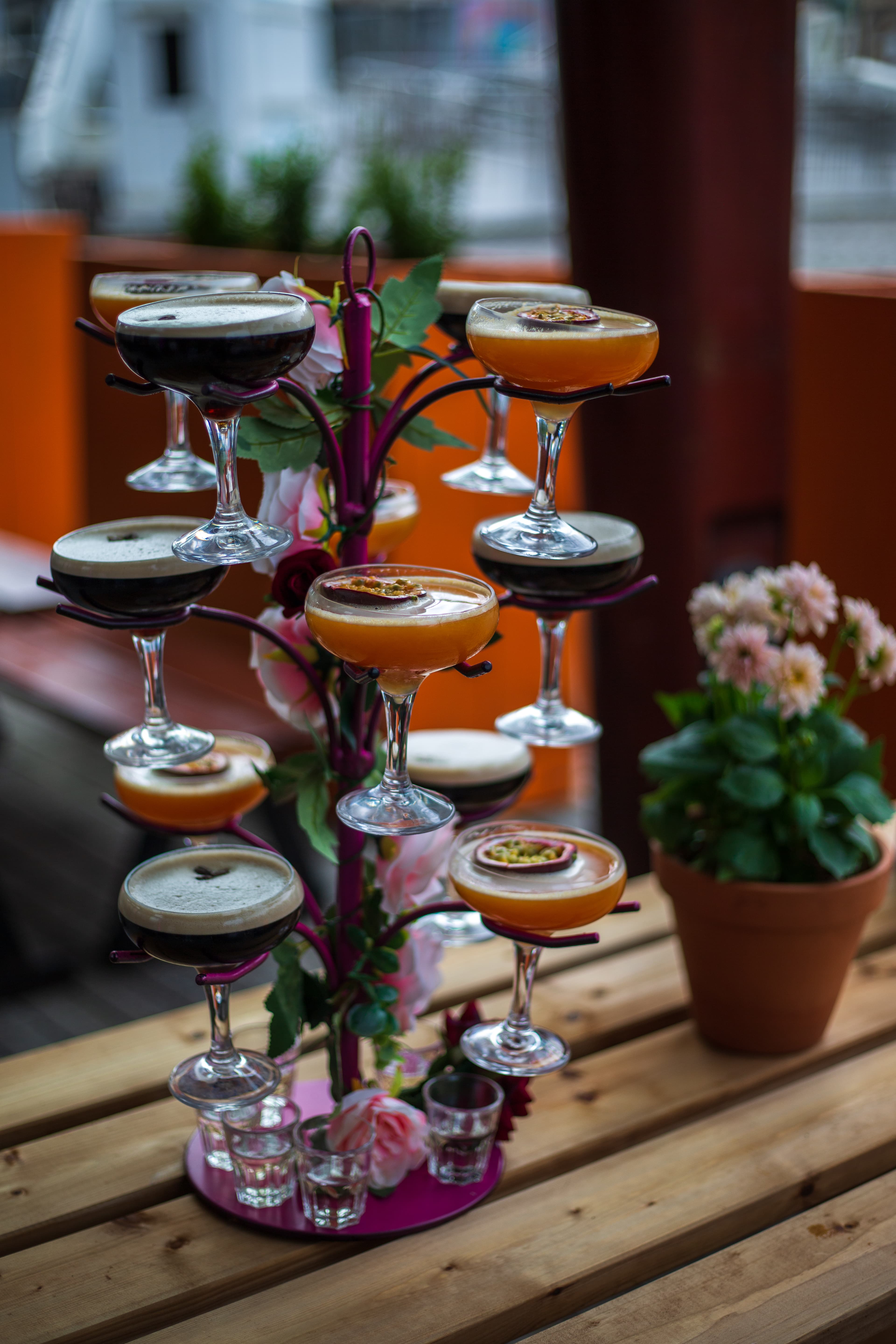 The Pink Room & Terrace, Circuit Bristol photo #27