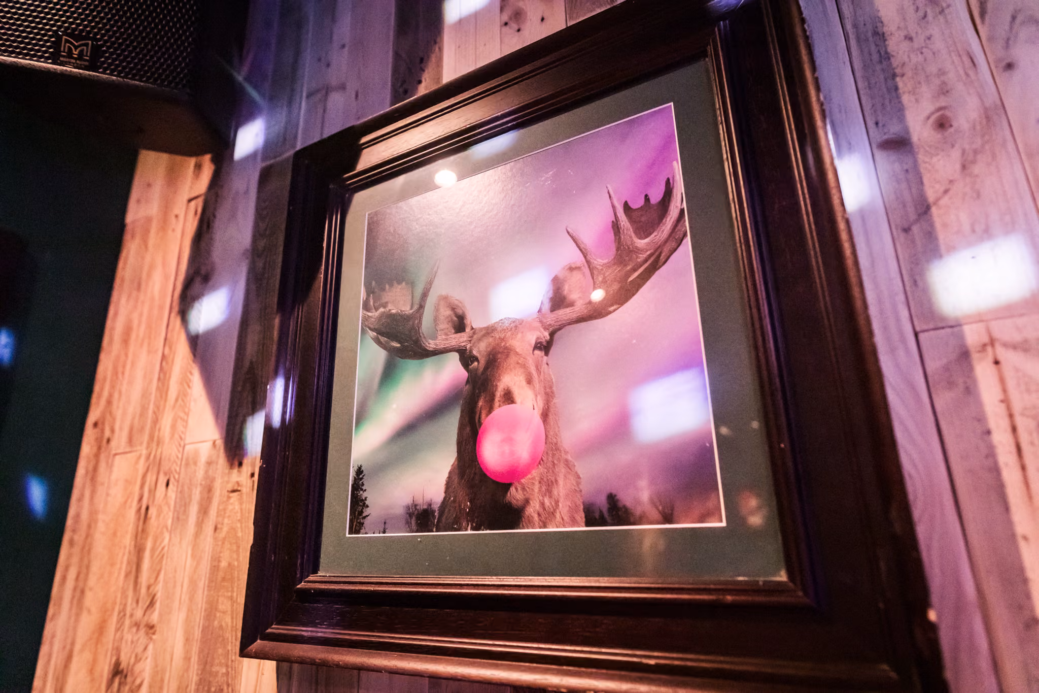 Photo of Nordic Bar, Exclusive Hire