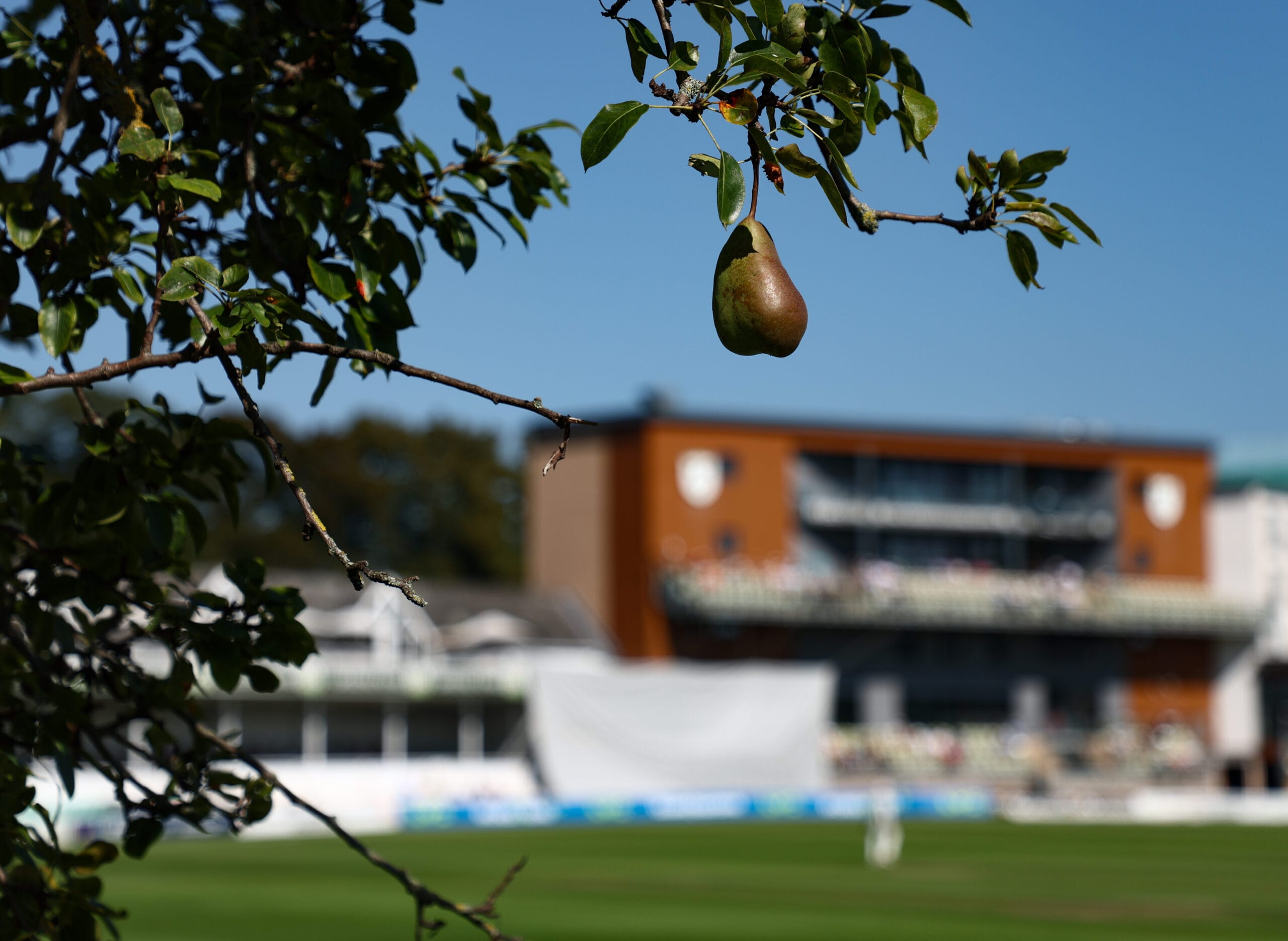 Photo of Worcestershire County Cricket Club, View Level 2