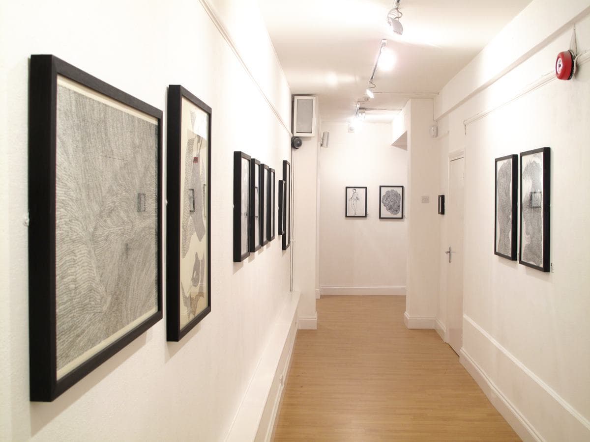 Whole Gallery, The Strand Gallery photo #7