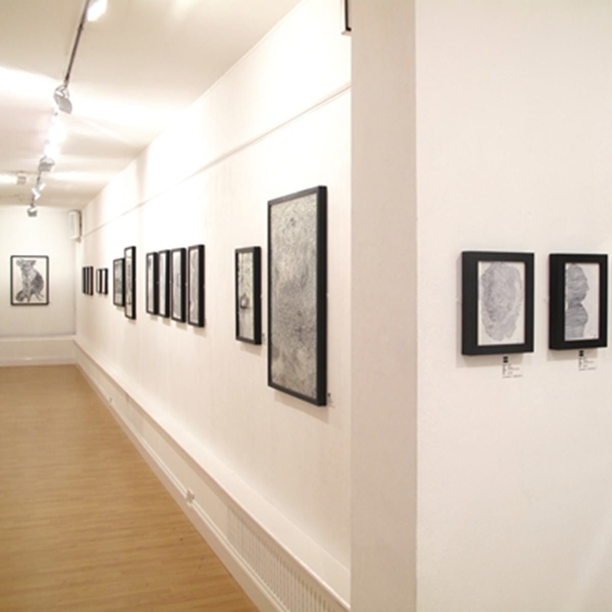 Photo of The Strand Gallery, Whole Gallery