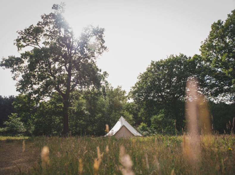 Photo of The Dreys, Meadow Bell Tent