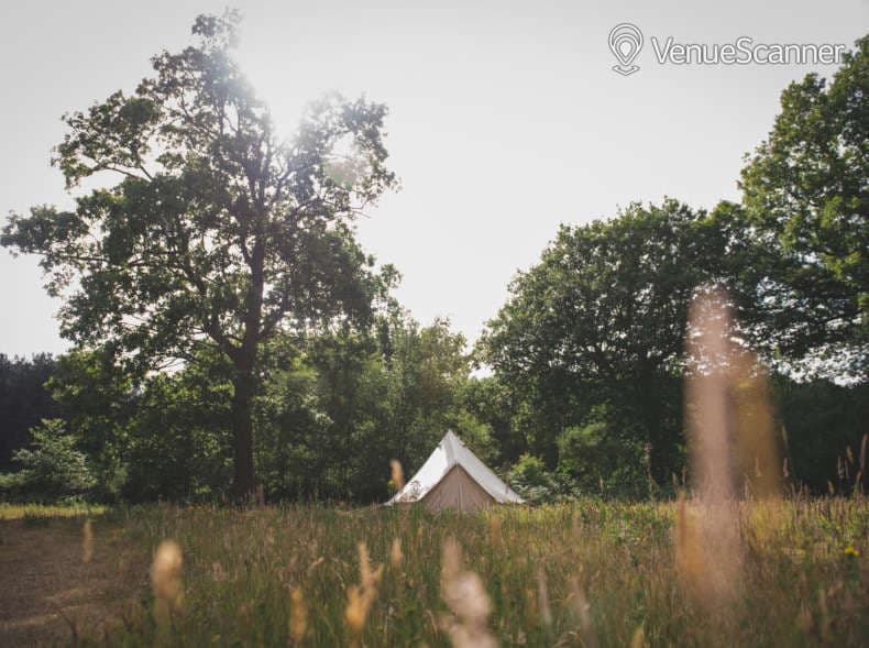 The Dreys, Meadow Bell Tent photo #3